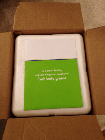 UPS Freezer Box.
