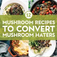 Mushroom recipes in a collage.