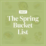 Spring bucket list recap image.